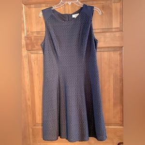 Navy Loft dress